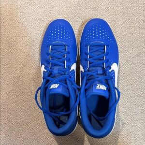 Nike Men's Royal Blue Athletic Sneakers